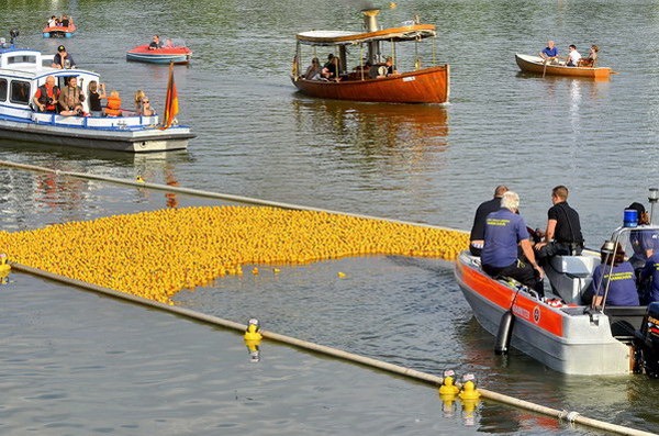 Maschsee13   726.jpg